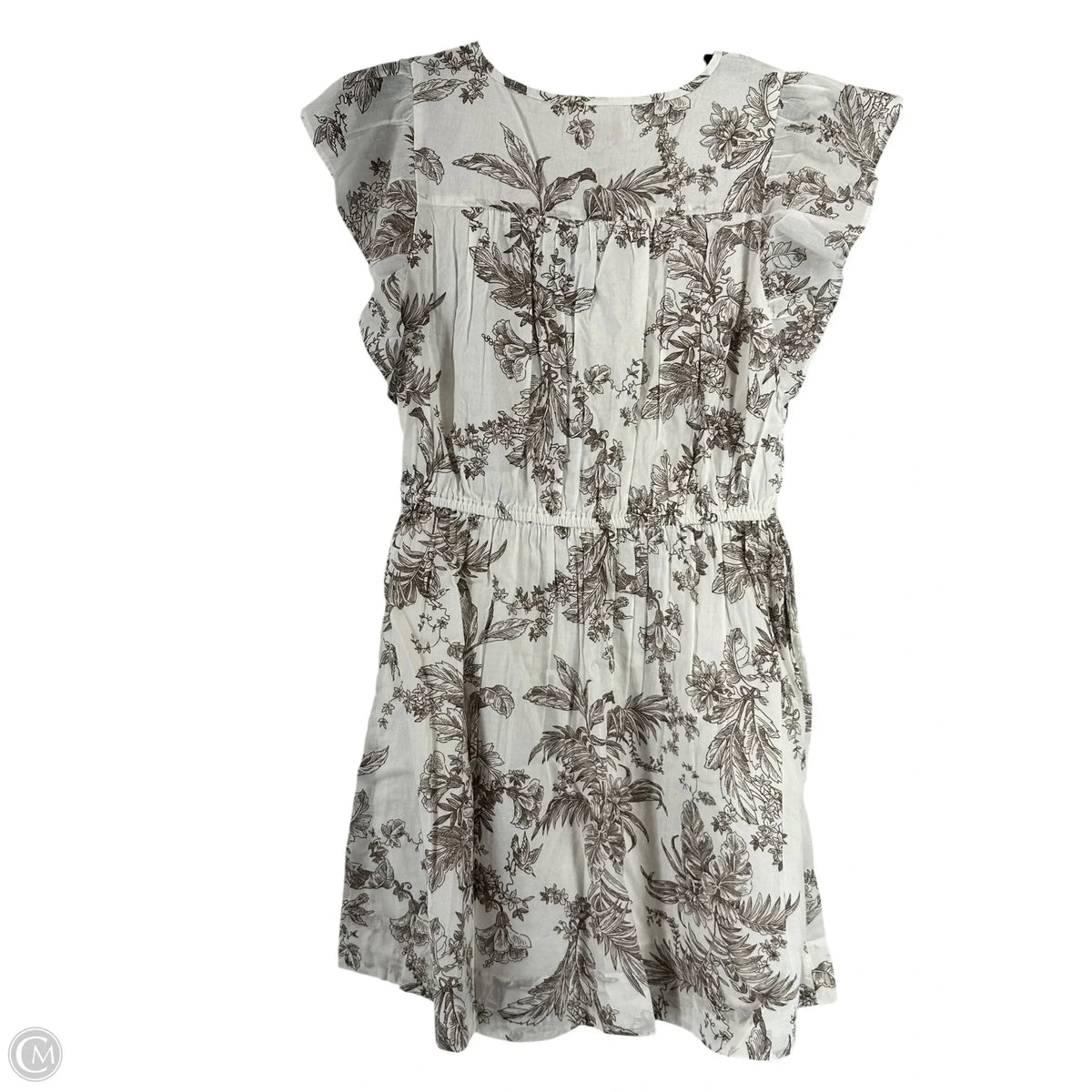 Dress Casual Short By Loft In Brown & White, Size: Mp